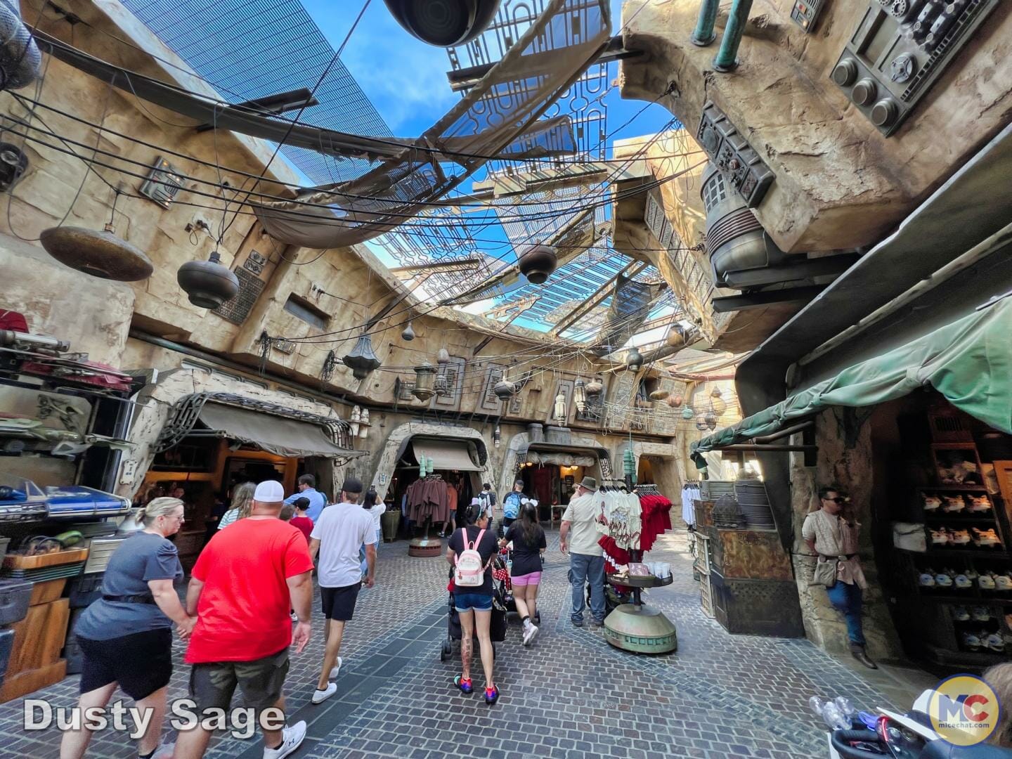 , Disneyland Update – Poison Apples, Summer Crowds, Spider-Fail