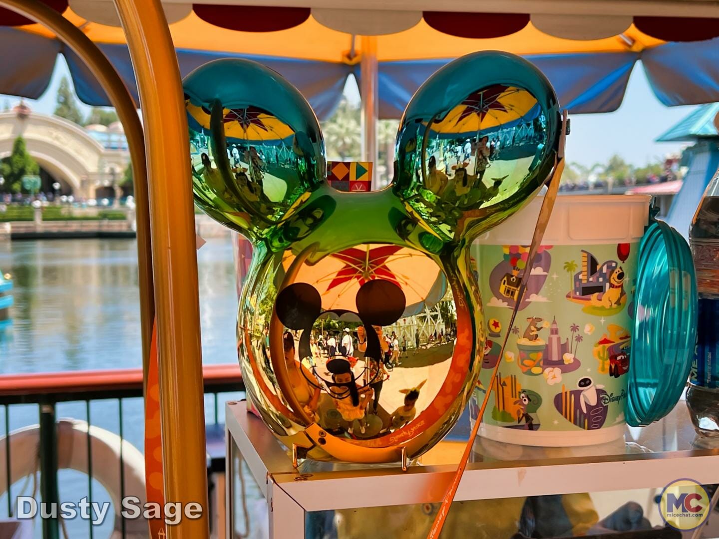 , Disneyland Update – Poison Apples, Summer Crowds, Spider-Fail
