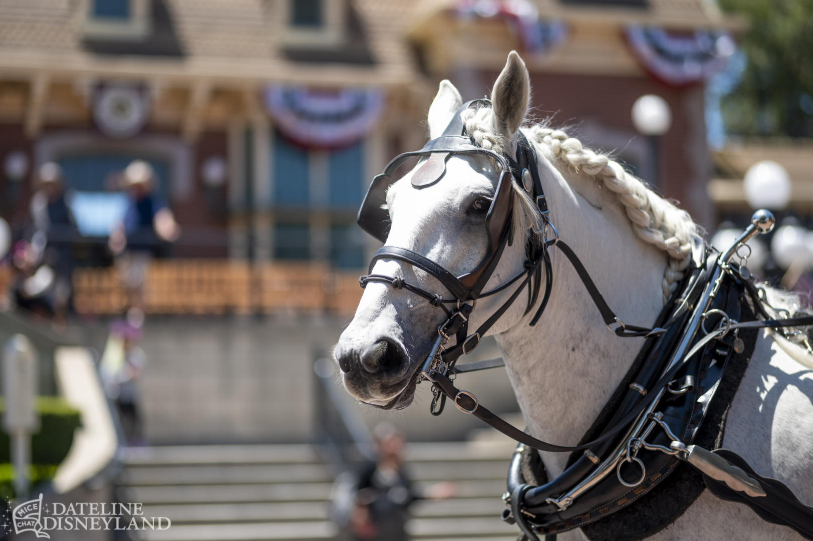 Disneyland, Dateline Disneyland: Mercury Climbs, Crowds Thin, and a Musical Tradition Returns