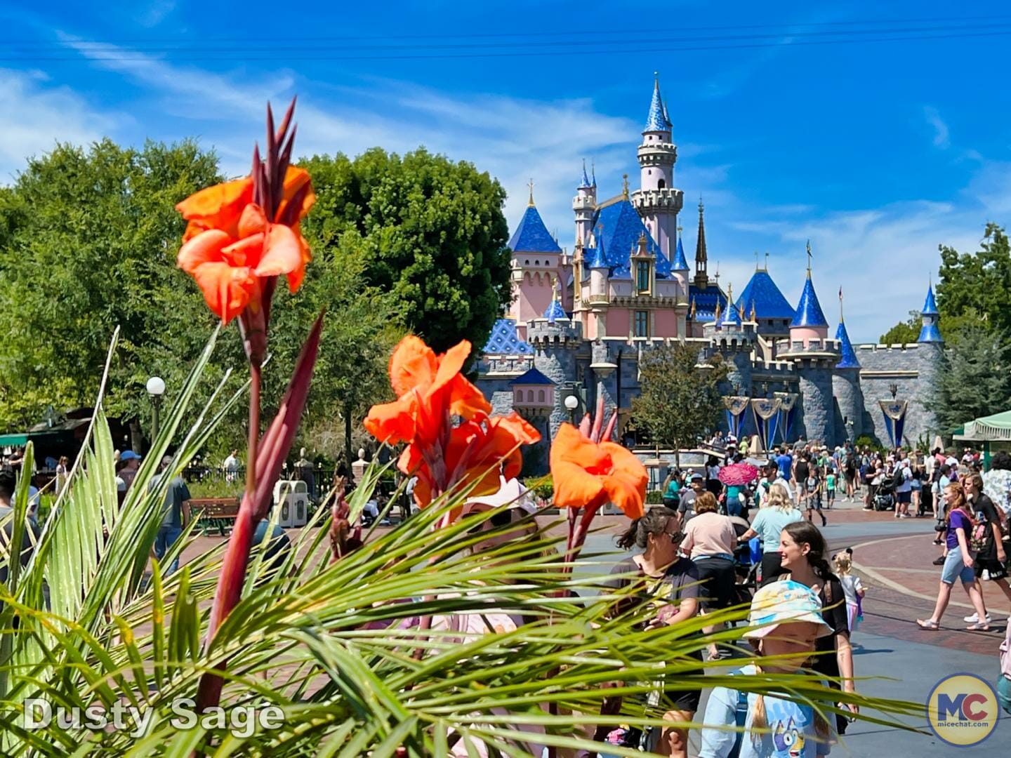 , Disneyland Update – Poison Apples, Summer Crowds, Spider-Fail