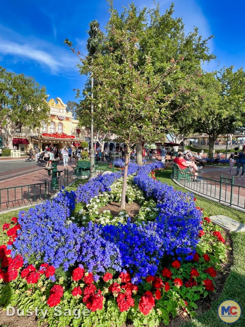 , Disneyland Update – Poison Apples, Summer Crowds, Spider-Fail