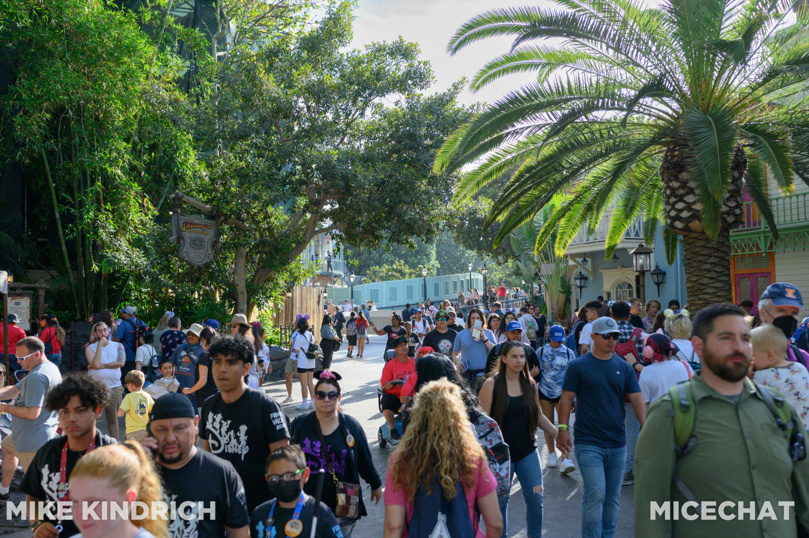 , Disneyland Update: New Views, Booking Up & Locking Out