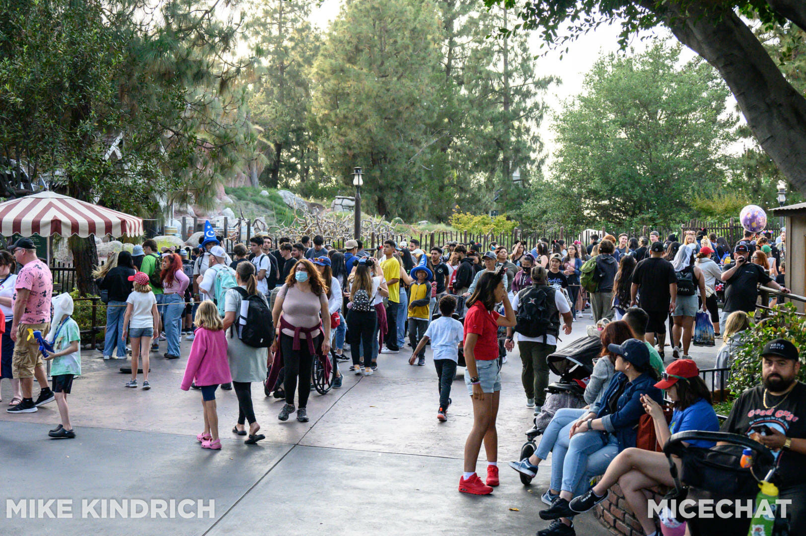 , Disneyland Update: New Views, Booking Up & Locking Out