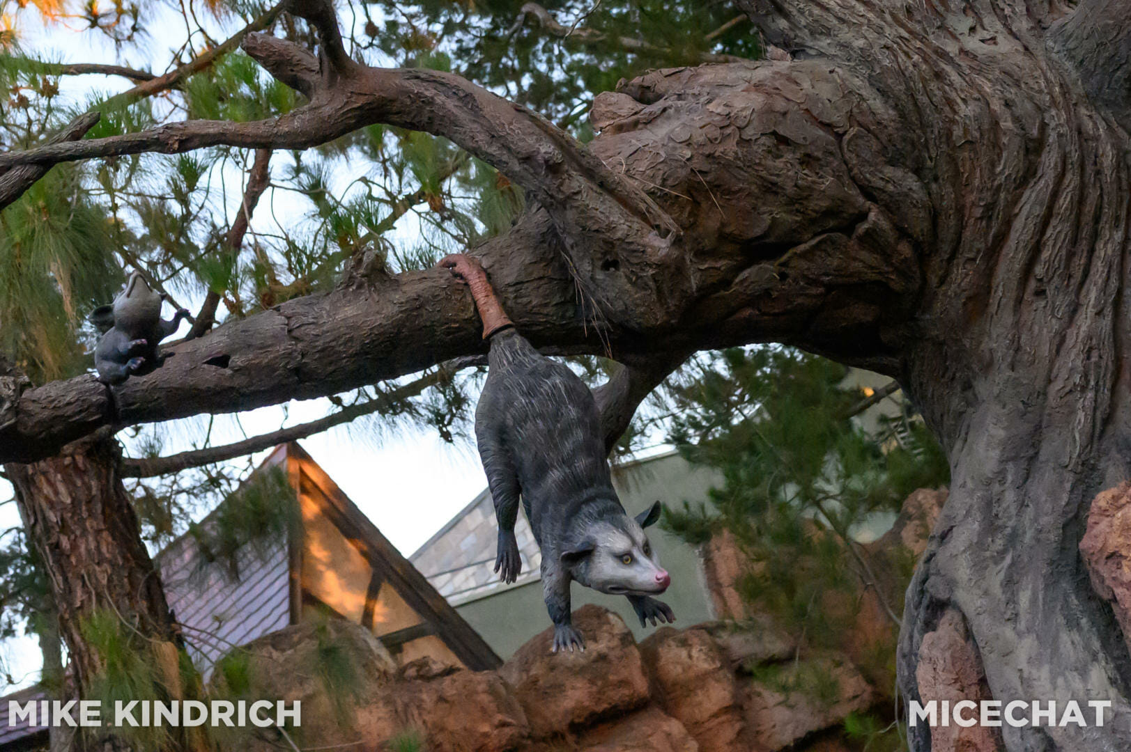 Disneyland, Dateline Disneyland: Mercury Climbs, Crowds Thin, and a Musical Tradition Returns