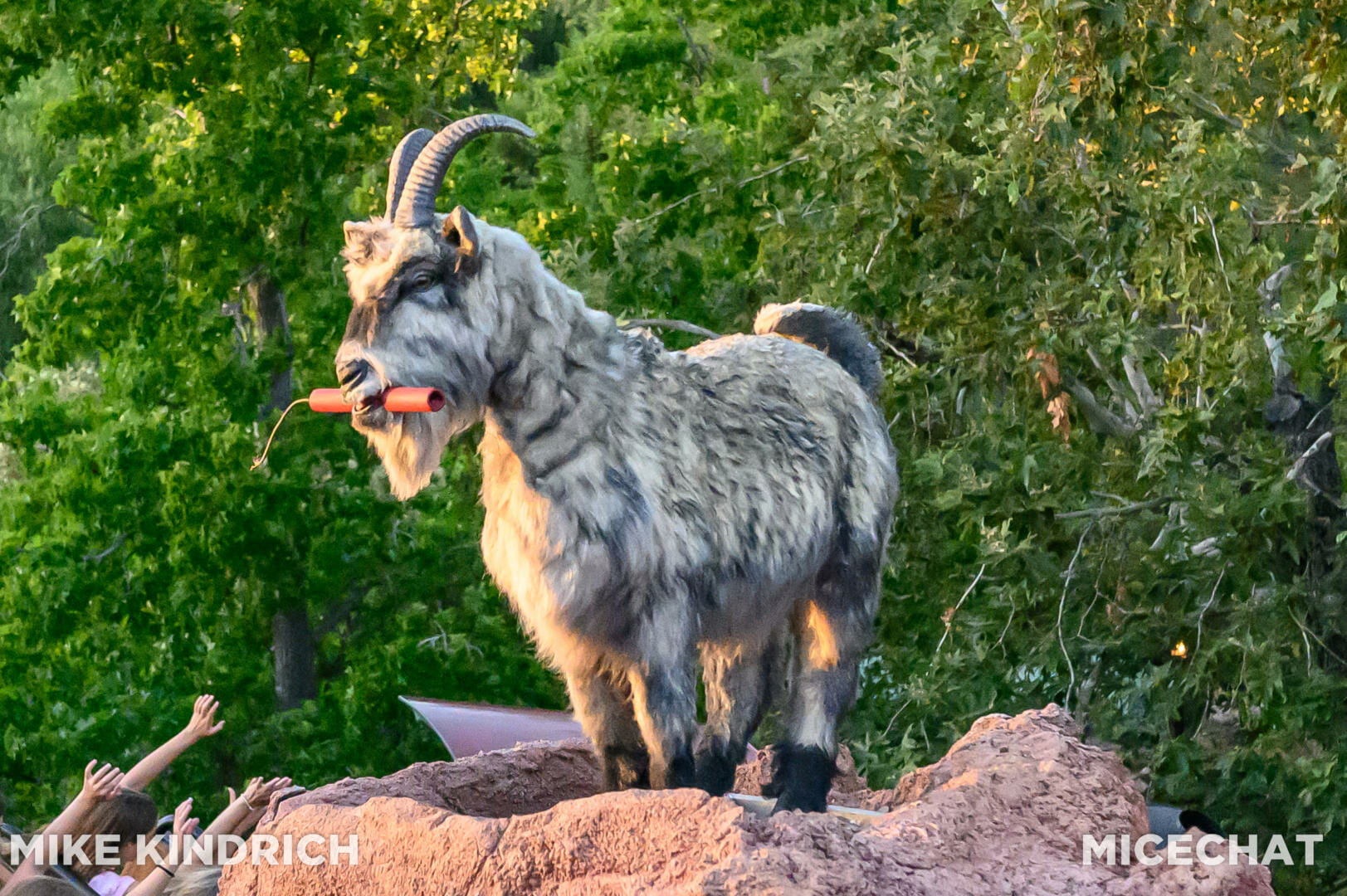 Disneyland, Dateline Disneyland: Mercury Climbs, Crowds Thin, and a Musical Tradition Returns