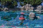 Disneyland_Tomorrowland_Finding Nemo Subs_Monorail (1 of 1)-2