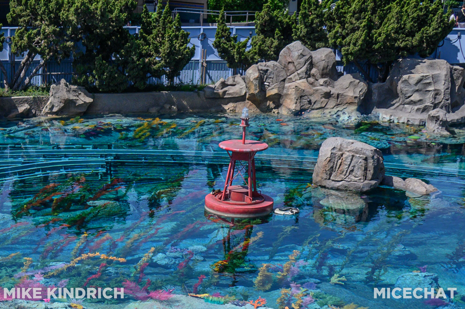 , Disneyland Update – Poison Apples, Summer Crowds, Spider-Fail