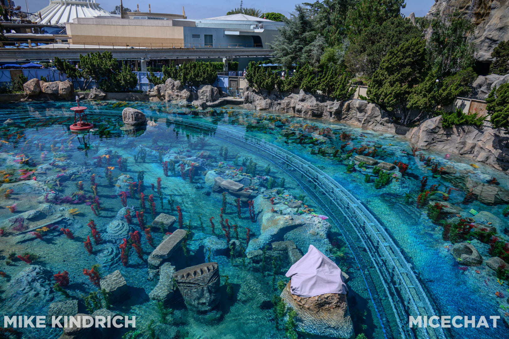 , Disneyland Update – Poison Apples, Summer Crowds, Spider-Fail