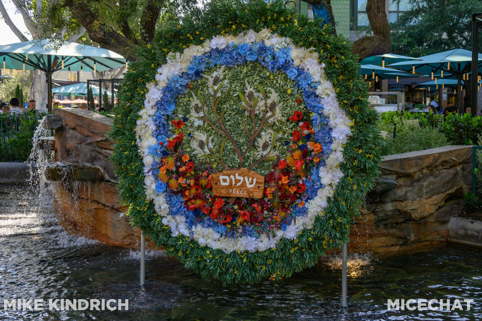 , Disneyland Update – Buzz Off, Moving Milestone & Preponderance of Projects