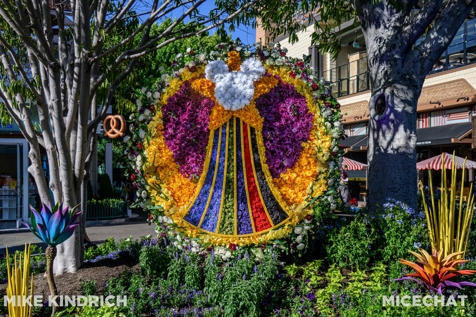 , Disneyland Update &#8211; Buzz Off, Moving Milestone &#038; Preponderance of Projects