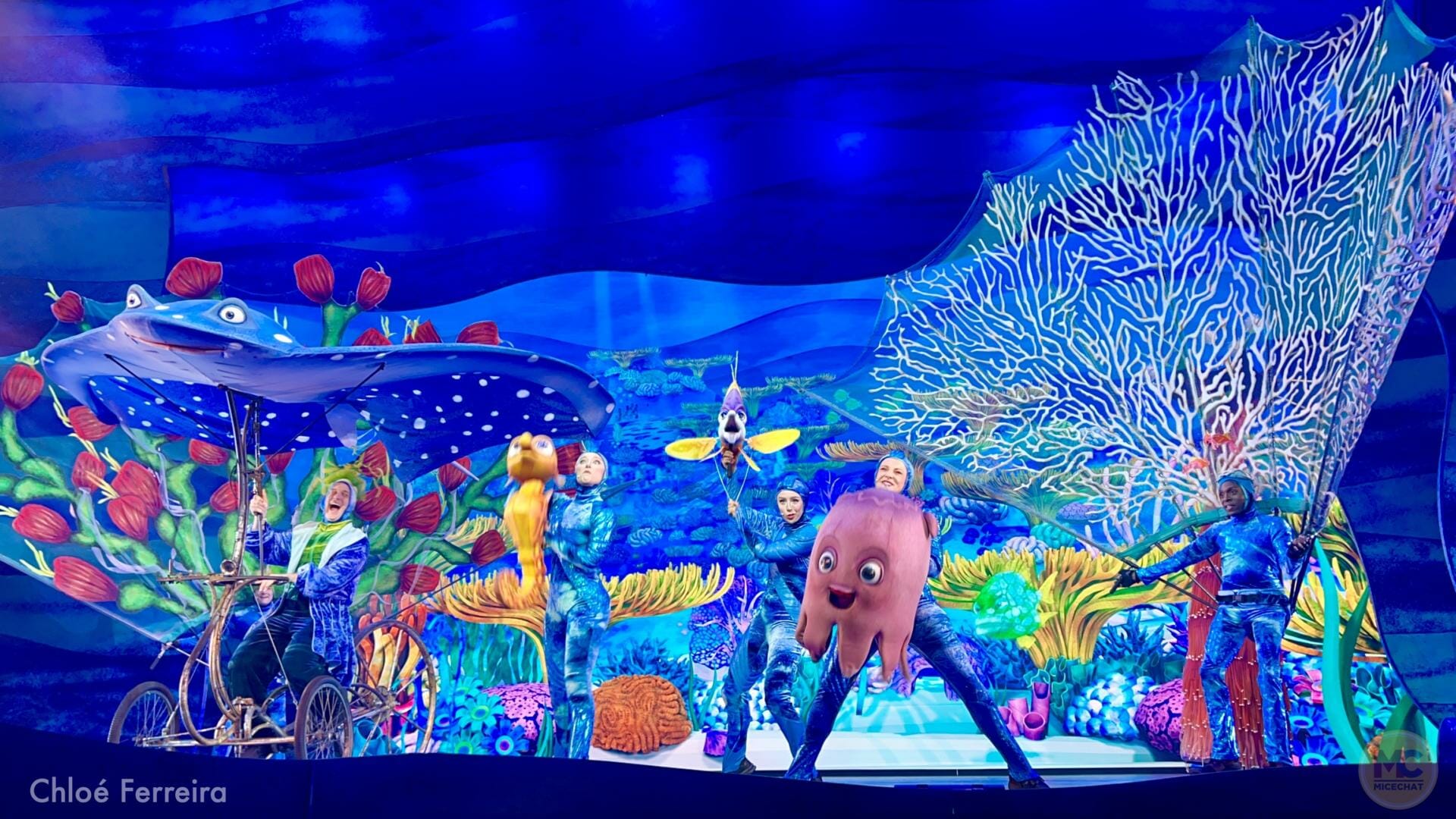 Finding Nemo, Finding Nemo Returns to Disney&#8217;s Animal Kingdom in The Big Blue&#8230; and Beyond!