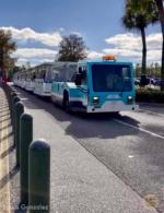 Photo_1parking tram WDW