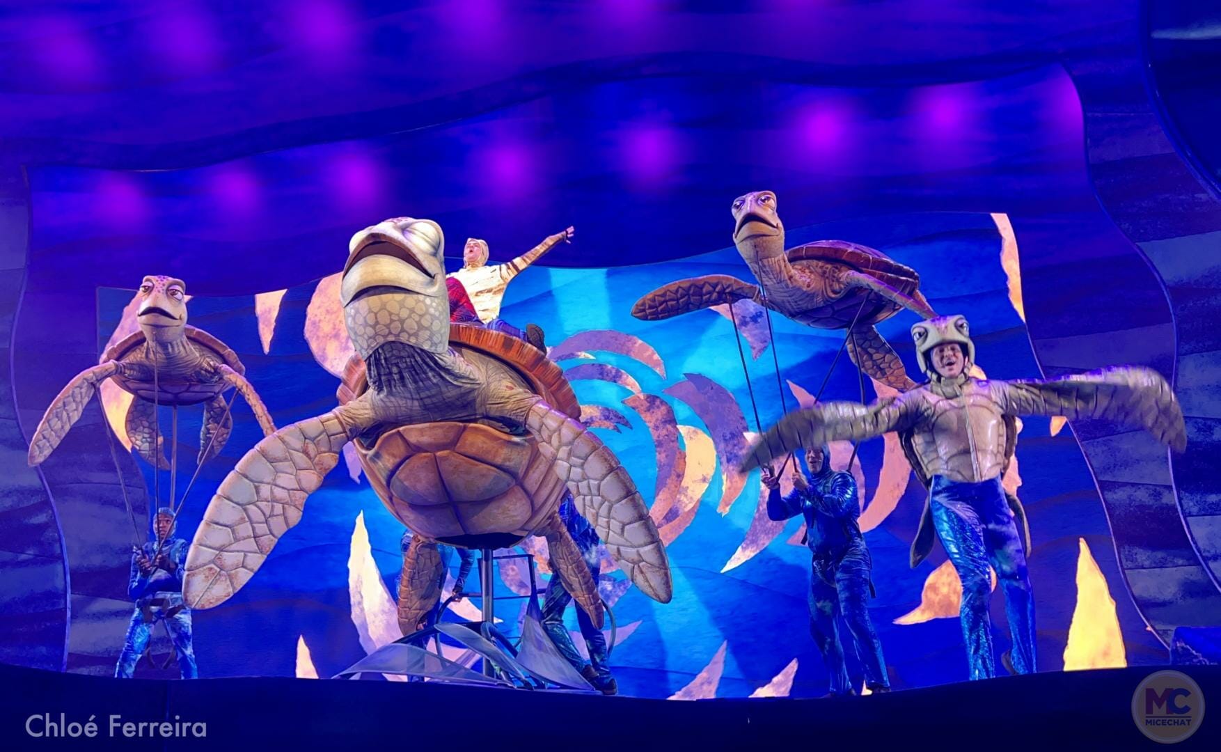 Finding Nemo, Finding Nemo Returns to Disney&#8217;s Animal Kingdom in The Big Blue&#8230; and Beyond!