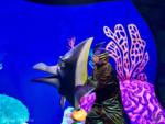 Photo_8Animal Kingdom DAK Finding Nemo Big Blue World and Beyond