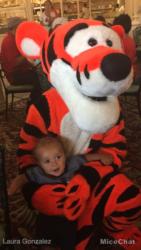 Walt Disney World Magic Kingdom Crystal Palace Buffet tigger 2 micechat