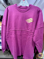 disney cruise- disney wish merchandise-make a wish collection-spirit jersey