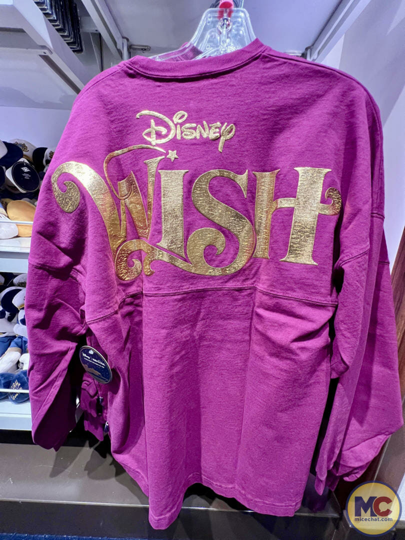 disney cruise- disney wish merchandise-make a wish-spirit jersey-back -  MiceChat