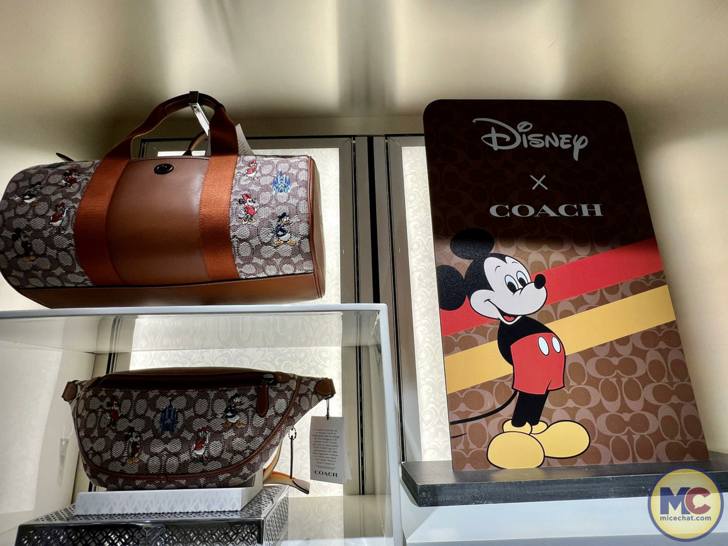 Disney Wish merchandise, New Treasures Aboard the Disney Wish: Shopping &#038; Merchandise Guide