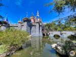 disneyland castle side view-micechat