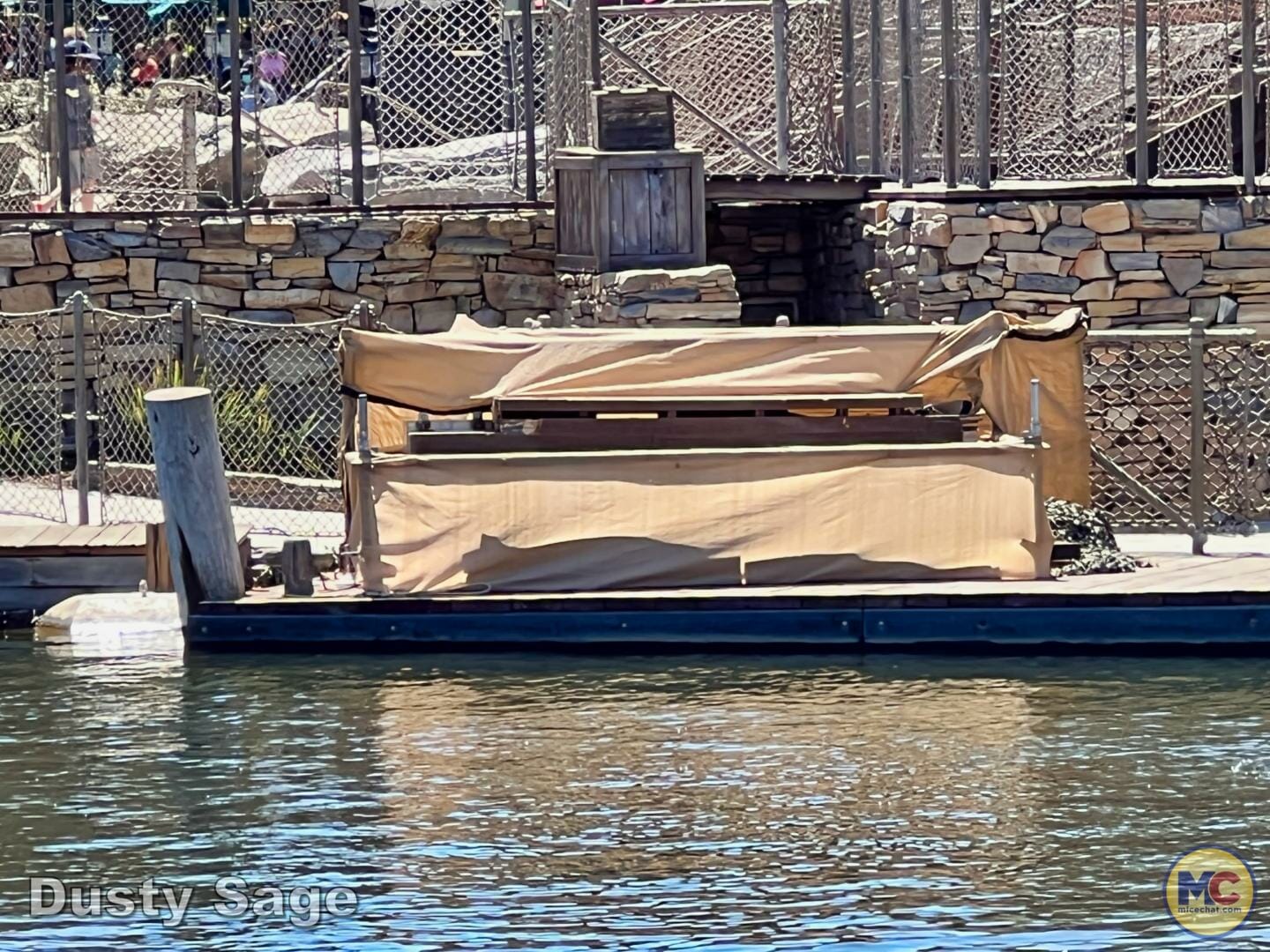 , Disneyland Update – Poison Apples, Summer Crowds, Spider-Fail