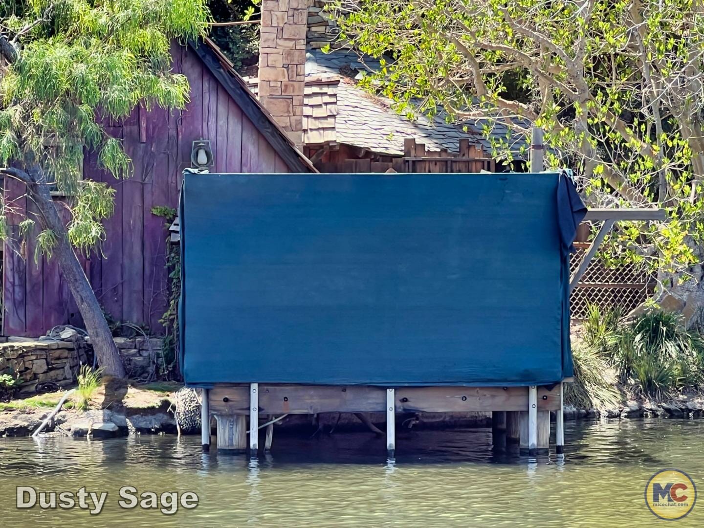 , Disneyland Update – Poison Apples, Summer Crowds, Spider-Fail