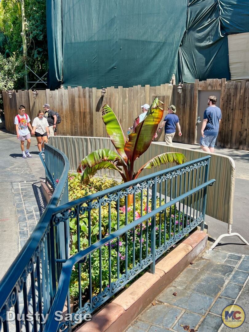 , Disneyland Update – Poison Apples, Summer Crowds, Spider-Fail
