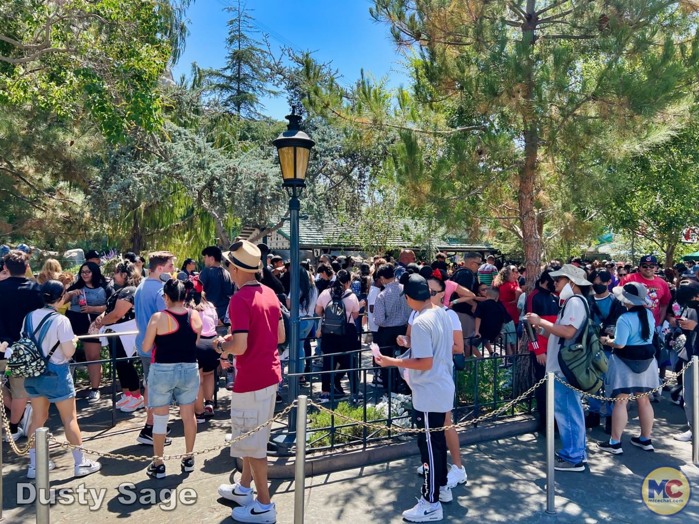 , Disneyland Update – Poison Apples, Summer Crowds, Spider-Fail