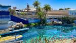 disneyland sub lagoon 1-micechat