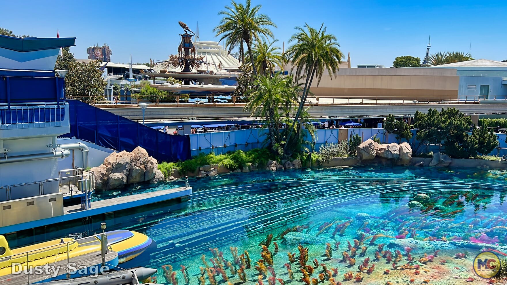 , Disneyland Update – Poison Apples, Summer Crowds, Spider-Fail