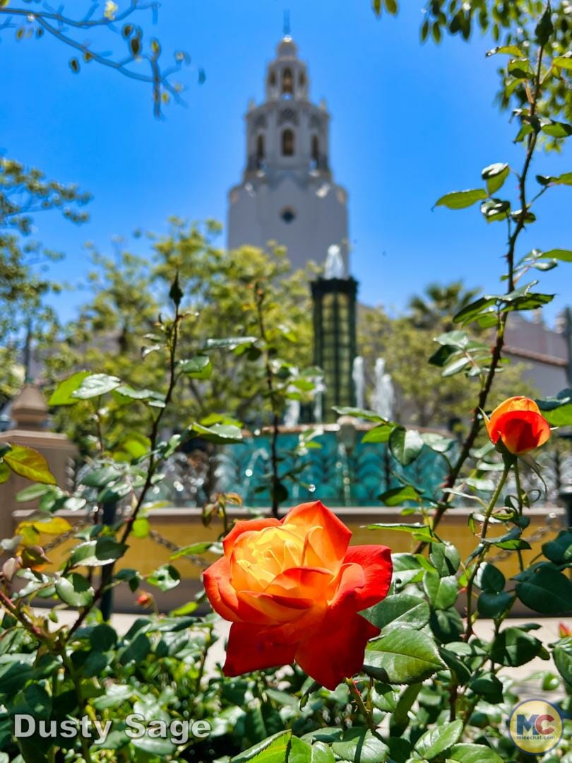 , Disneyland Update – Poison Apples, Summer Crowds, Spider-Fail
