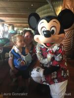 walt disney world disney’s polynesian resort ohana mickey micechat
