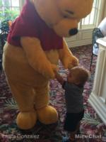 walt disney world magic kingdom the crystal palace buffet pooh micechat