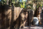 014_California_Adventure_Redwood Creek Challenge Trail