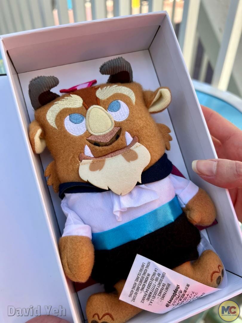 , Disneyland Update – Subs Surface, Crowd Hack & Hammer Time