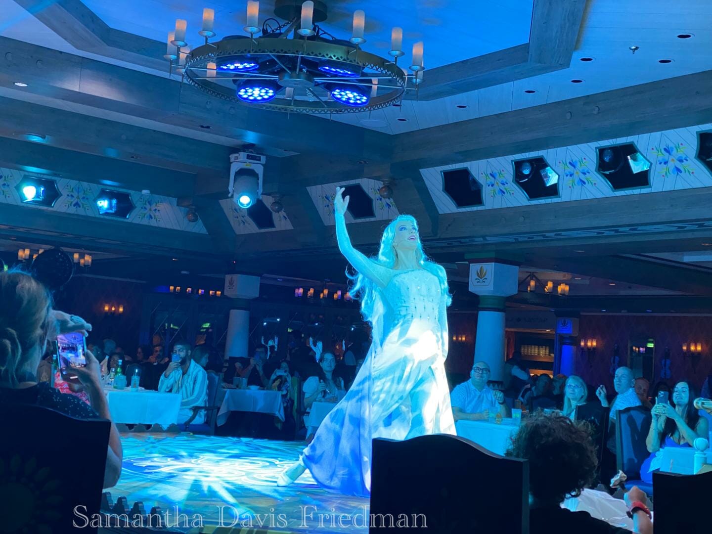 Disney Wish - Arendelle