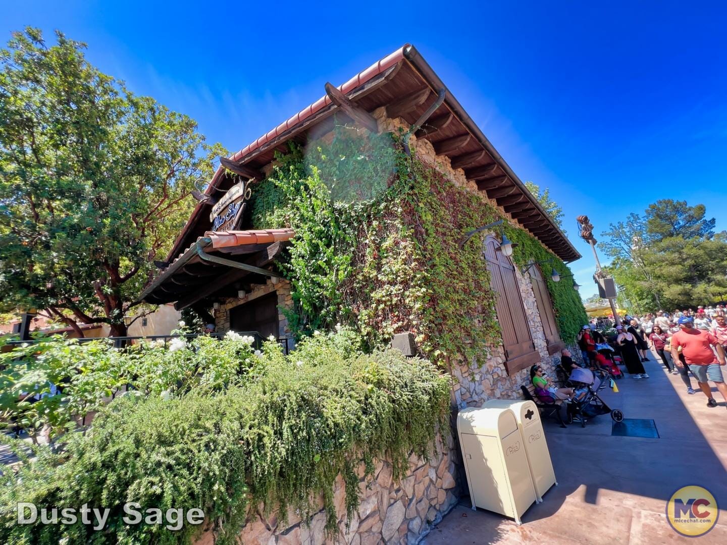 , Disneyland Update – Subs Surface, Crowd Hack & Hammer Time
