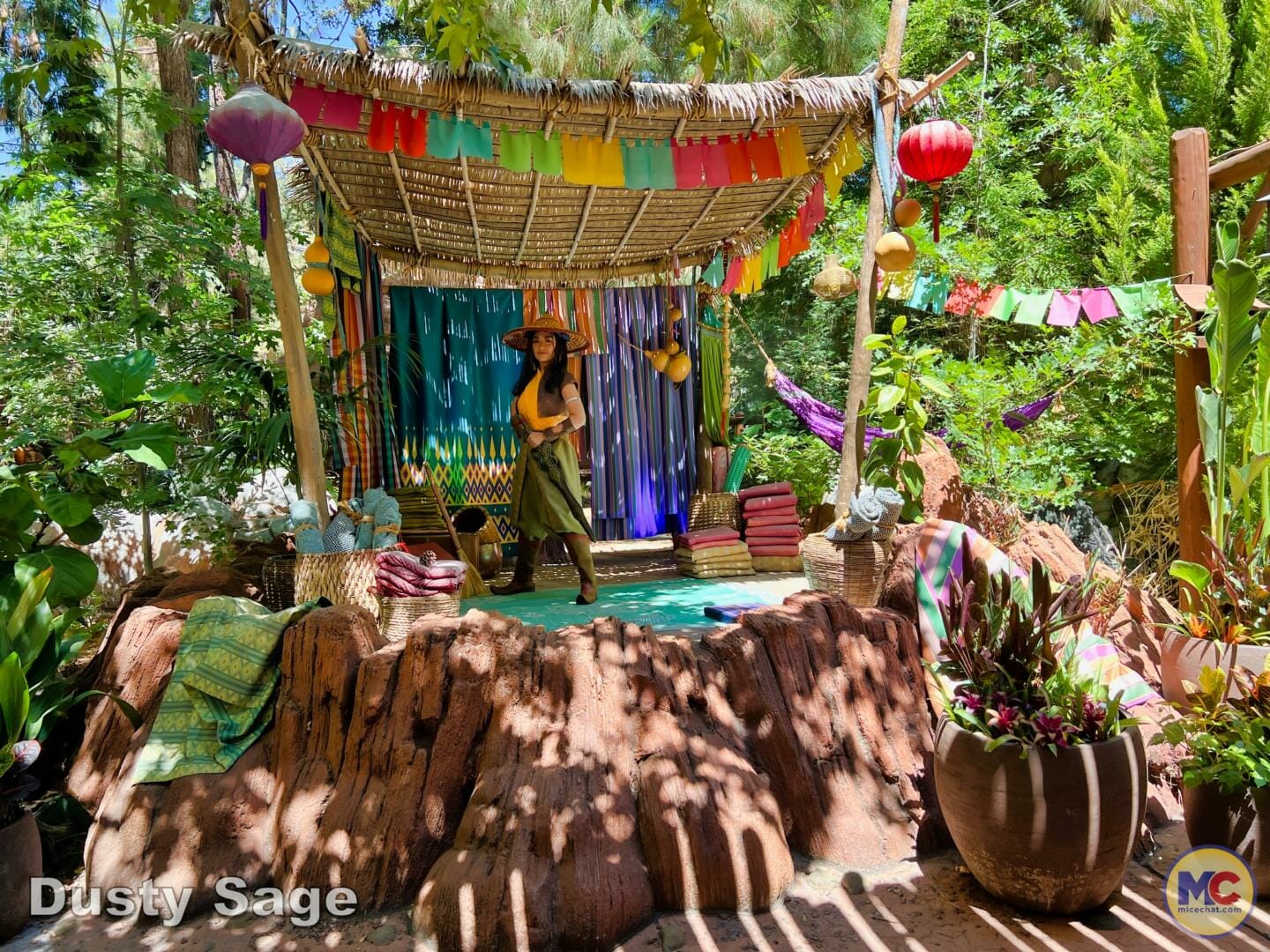 , Disneyland Update – Subs Surface, Crowd Hack & Hammer Time