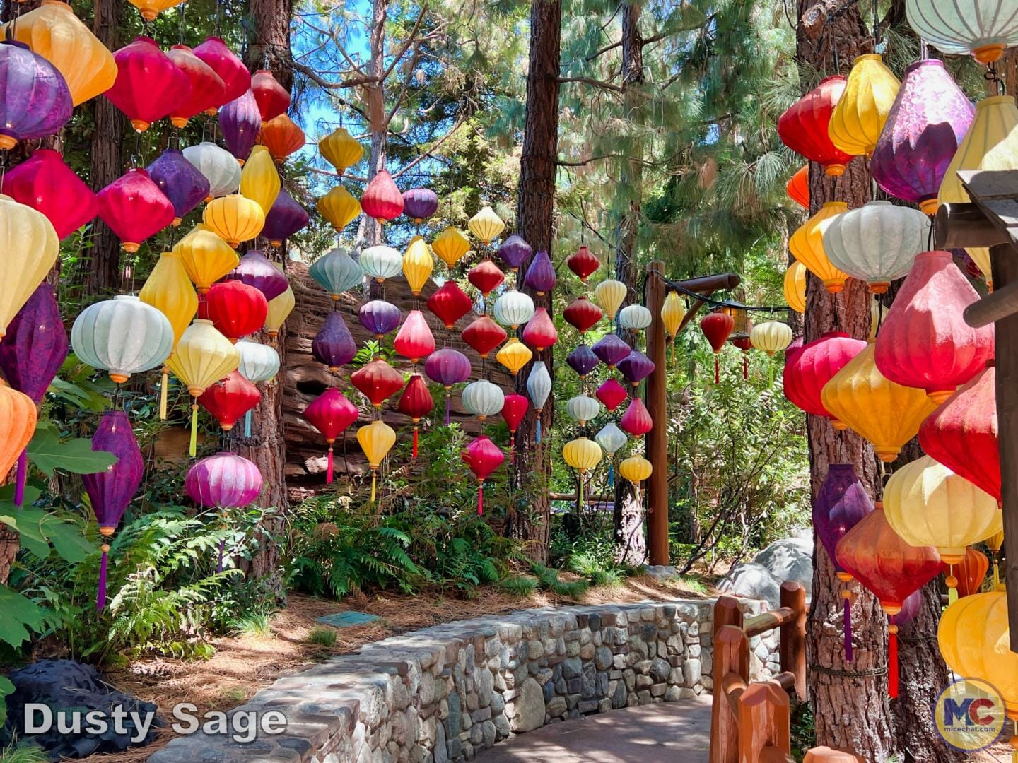 , Disneyland Update – Subs Surface, Crowd Hack & Hammer Time