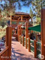 Disney California Adventure Redwood Creek Challenge Trail bridge-micechat