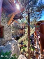 Disney California Adventure Redwood Creek Challenge Trail rope trail-micechat