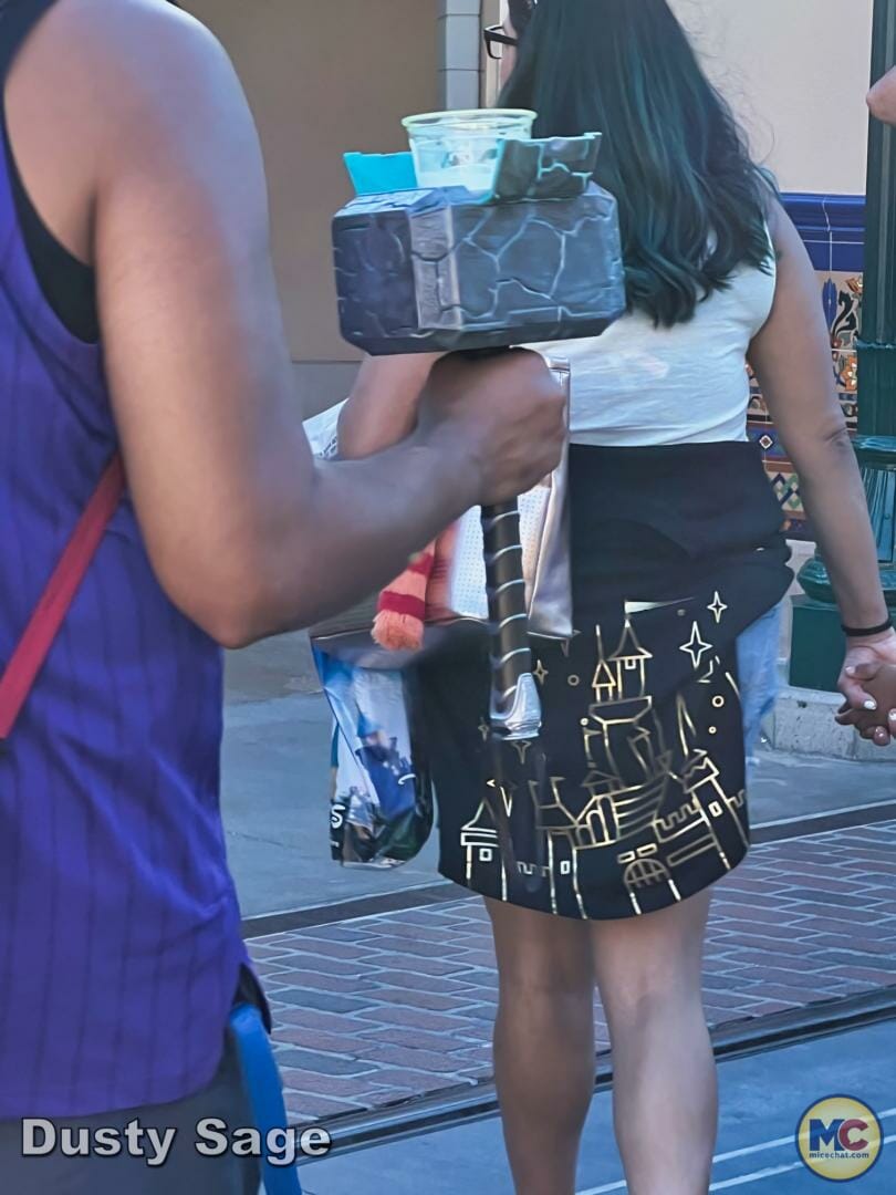 , Disneyland Update – Subs Surface, Crowd Hack & Hammer Time