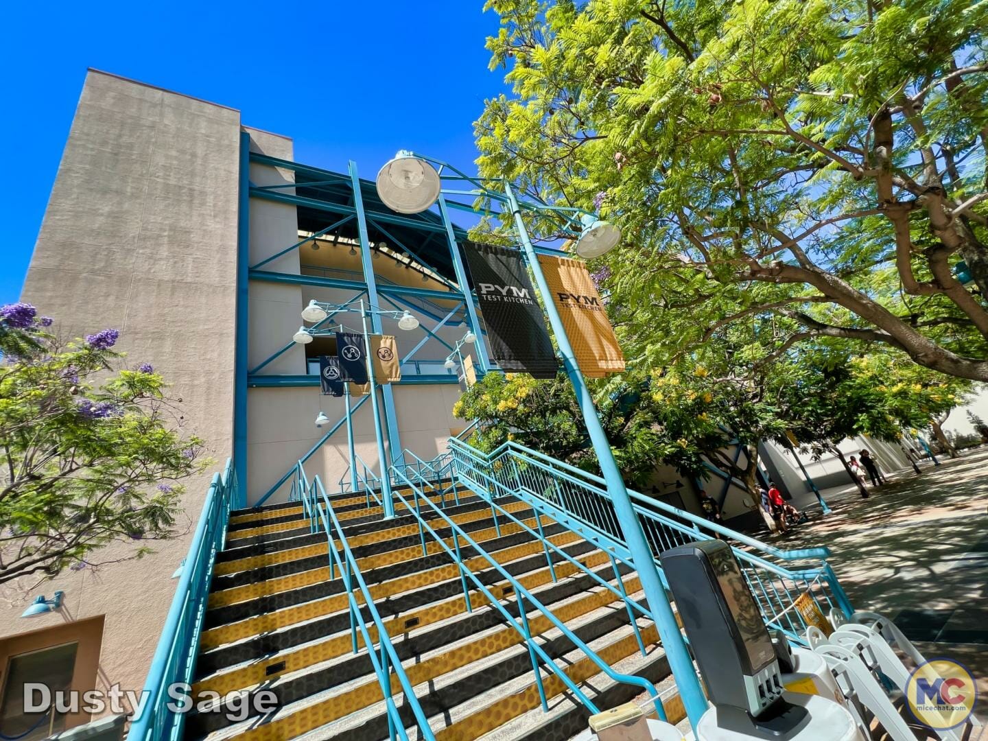 , Disneyland Update – Subs Surface, Crowd Hack & Hammer Time