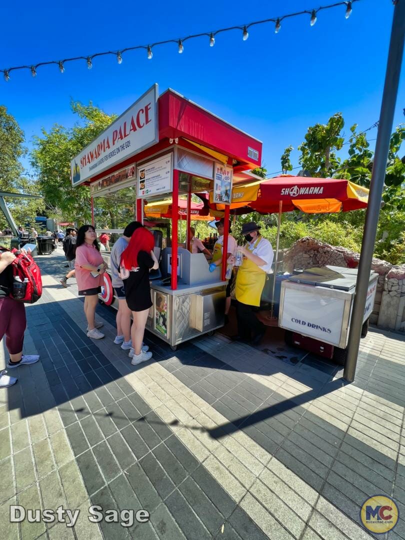 , Disneyland Update – Subs Surface, Crowd Hack & Hammer Time