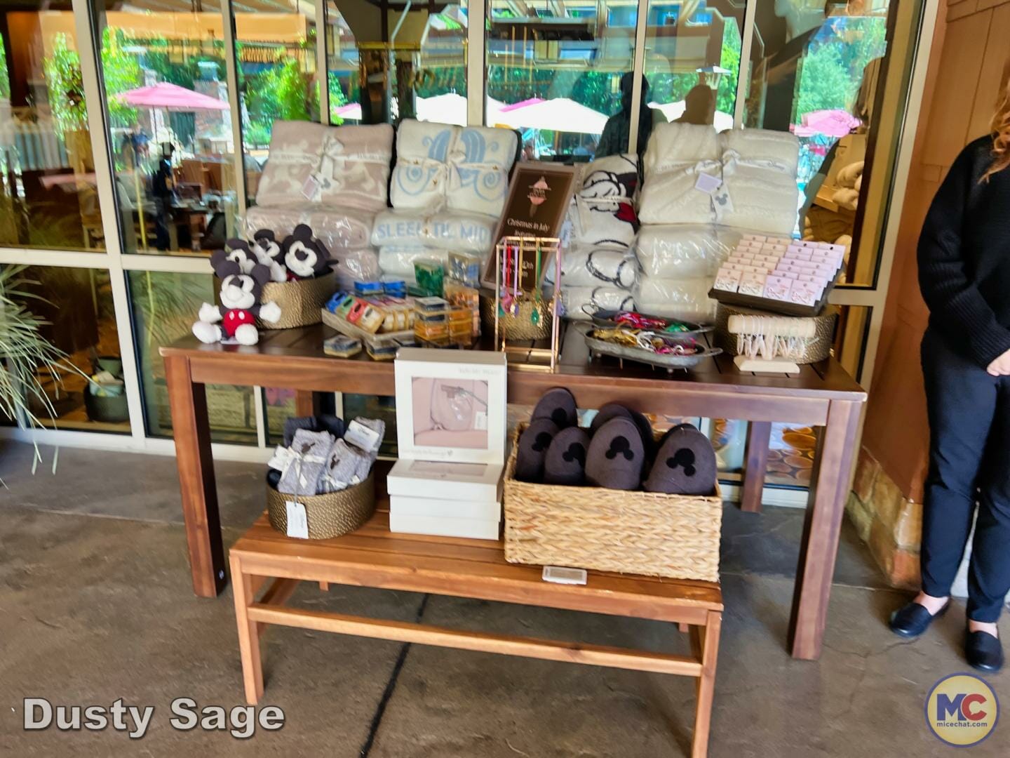 , Disneyland Update – Subs Surface, Crowd Hack & Hammer Time