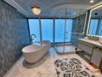 Disney Wish rooms Princess suite upstairs bathroom opaque windows-micechat