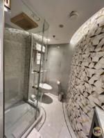 Disney Wish rooms funnel suite texture bathroom-micechat