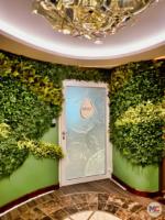 Disney Wish spa senses spa rain forrest door plants-micechat