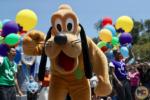Disneyland 67th Birthday Pluto