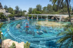 Disneyland Finding Nemo Submarine Voyage refurbishment lagoon DSC_9241-4K