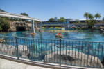 Disneyland Finding Nemo Submarine Voyage refurbishment lagoon DSC_9547-4K